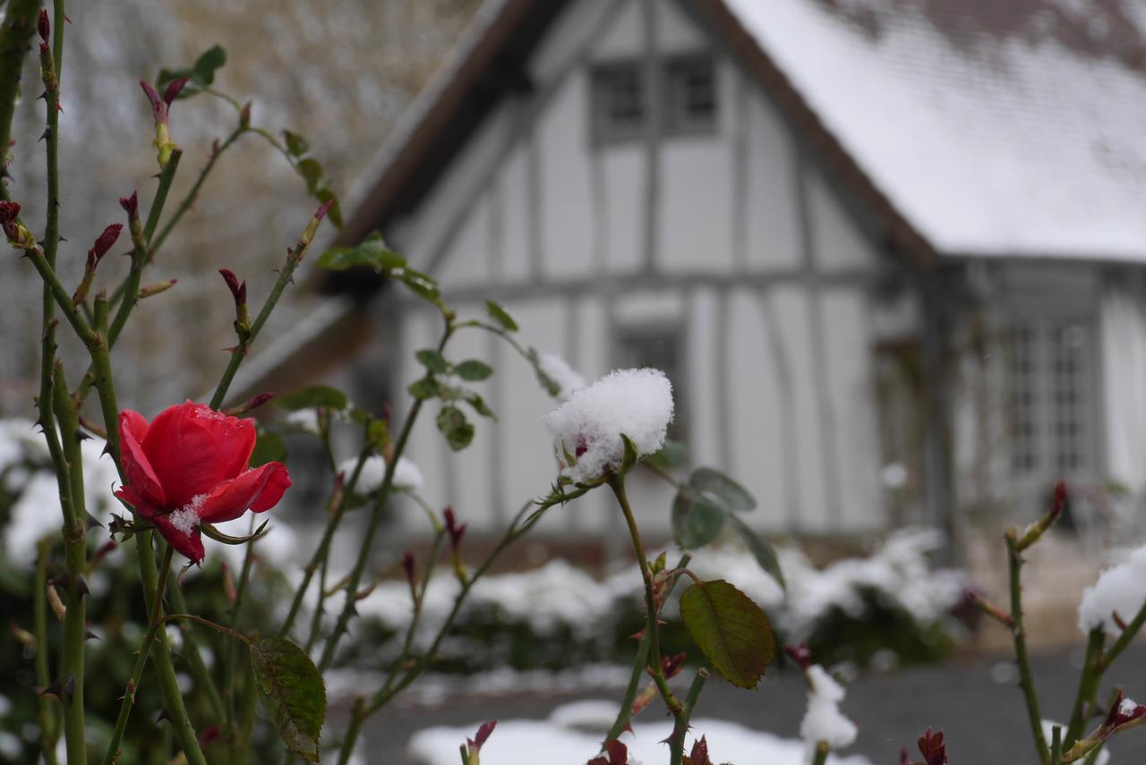 Bed and breakfast Domaine Du Vertbois *